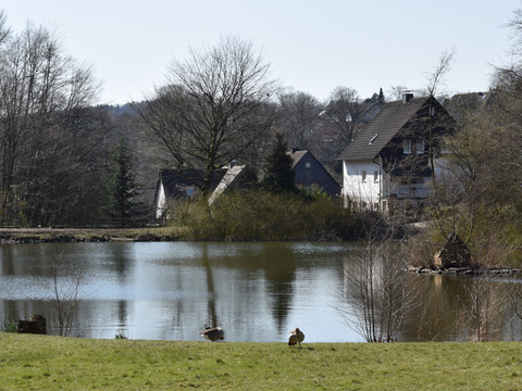 Heilteich <p>Idyllischer See mit Enten im Vordergrund, umgeben von Bäumen und Häusern in Marienheide.</p>