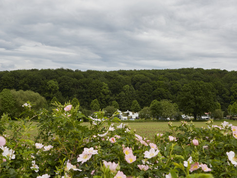 Motorhome_parking_05-2024_Photo-Herzmann_094.jpg