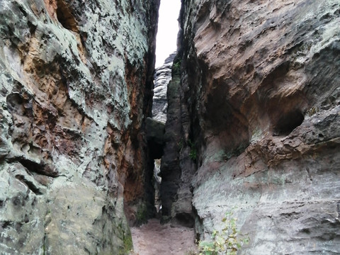 2.11.23 sächsischeschweiz