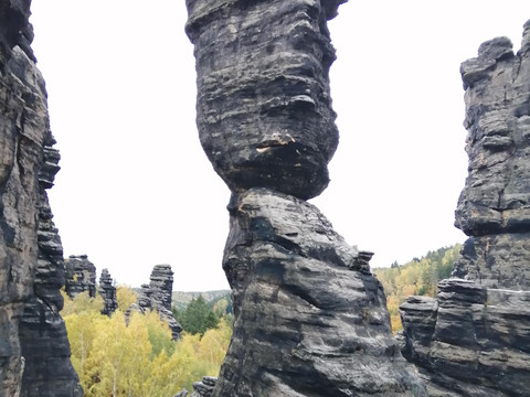 2.11.23 sächsische schweizIMG_20231031_160748 (1)