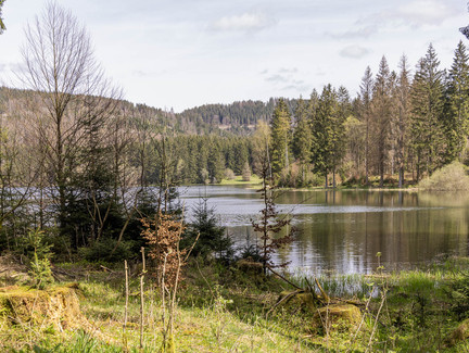 Stausee Scheibe-Alsbach 2