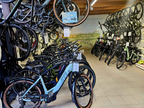 Fietsen voor iedereen Fahrradgeschäft mit verschiedenen Modellen in Blau, Grün und Schwarz, aufgereiht und an der Wand hängend; helle, einladende Atmosphäre.