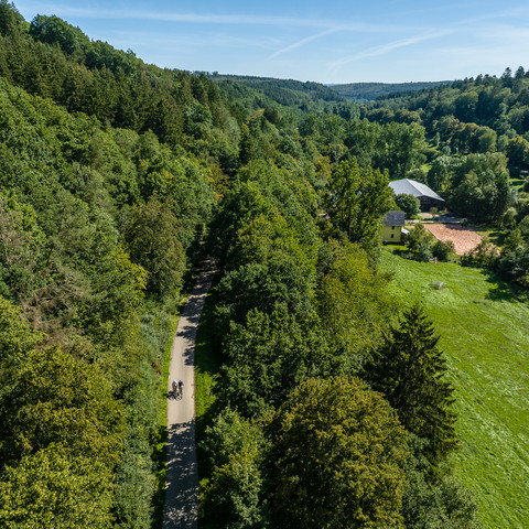 Schöner Blick auf den Wald