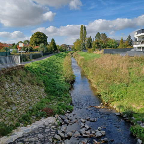 Flussabschnitt an der Swist