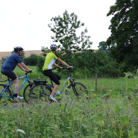 Weg entlang der Erft