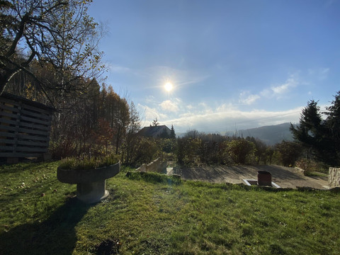 Gartenbereich/Grillplatz