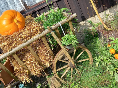 großzügiger Garten