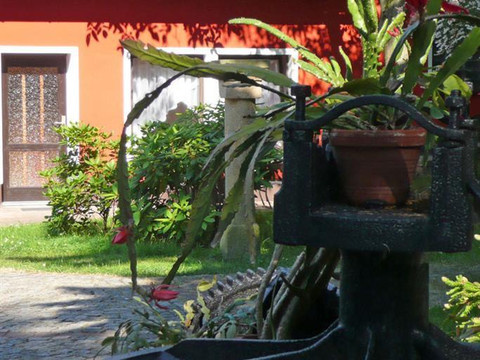 Ferienhaus Kotte mit Garten