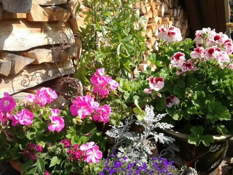 inmitten eines gepflegten Grundstücks