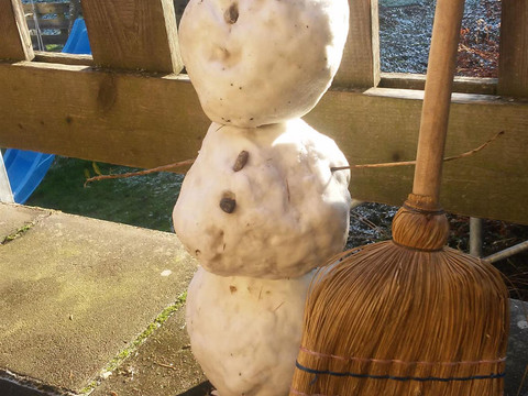 winterlicher Mitbewohner