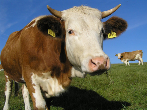 ehemaliger Kleinbauernhof