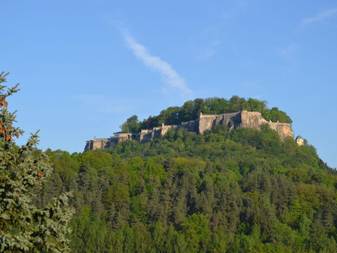 Blick zur Festung Königstein
