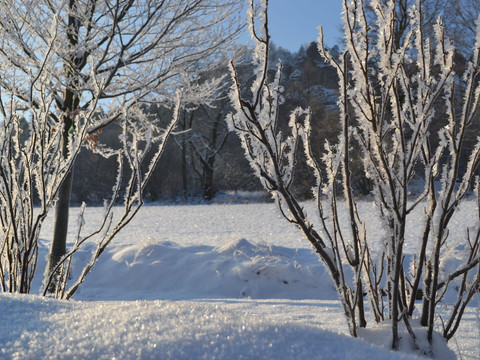 Winterlandschaft