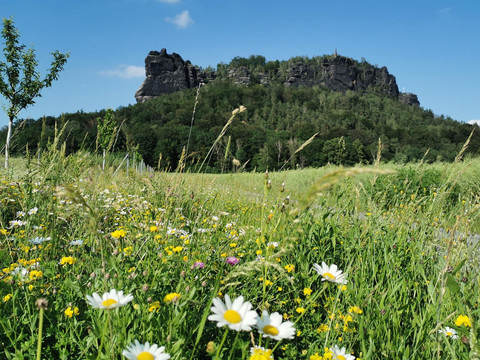 Der Lilienstein - der Aufstieg ist ab Haus möglich
