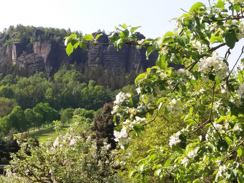 Blick zum Pfaffenstein
