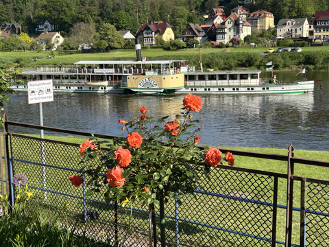 Dampfschiffahrt auf der Elbe