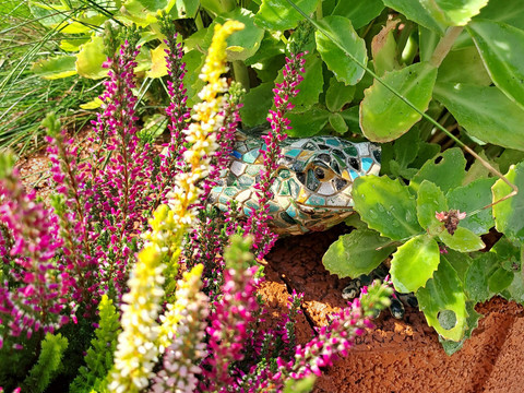 Impressionen aus dem Garten