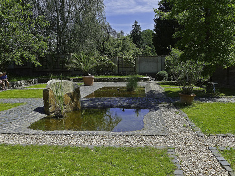 Garten der Bibelpflanzen 2019 3