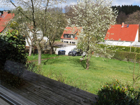 Blick von der Terasse