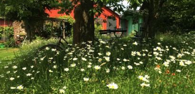 Naturnaher Garten
