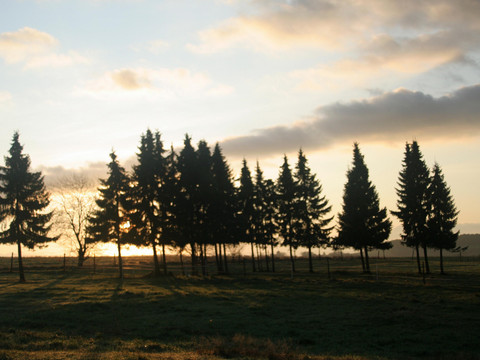 Herbstliche Abendstimmung