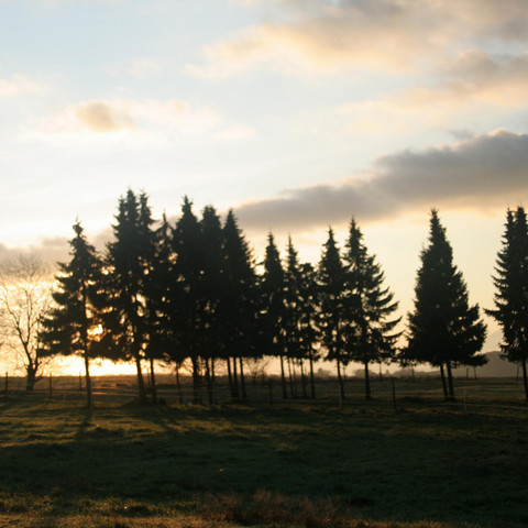 Herbstliche Abendstimmung