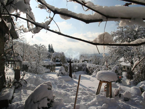 Wintermärchen im Garten