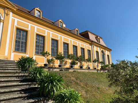 Pohled na budovu oranžerie Gelbes Barockgebäude des Barockgarten Großsedlitz mit großen Fenstern, flankiert von Pflanzen auf einer Treppe, unter klarem, blauem Himmel.