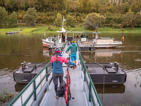 Zwei Personen mit Fahrrädern betreten eine Fähre auf einem Fluss, umgeben von grüner Landschaft und Bäumen.A family with bicycles uses the Schmilka ferryRodina s koly využívá přívoz SchmilkaEen gezin met fietsen maakt gebruik van de Schmilka veerboot