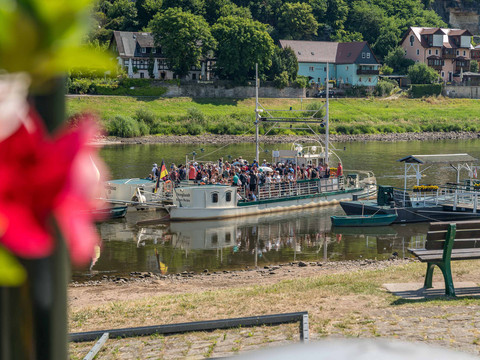Ferry Kurort Rathen Ein voll besetztes Ausflugsschiff auf einem Fluss, umgeben von grüner Landschaft und Fachwerkhäusern; im Vordergrund eine verschwommene rote Blume.