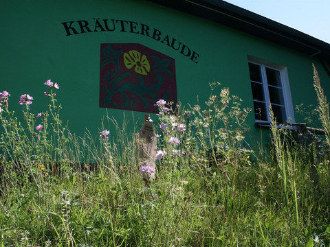 Kräuter an der Kräuterbaude