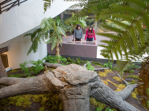 Museum am Schölerberg