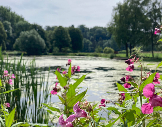 Paddelteich | Borchen-Etteln