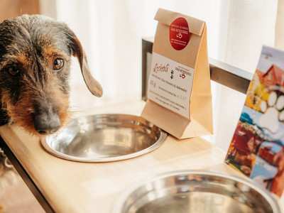 Torfhaus Harzresort - Dackel Torfhaus Harzresort - Dackel