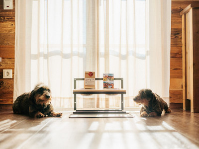 Torfhaus Harzresort - Dackel Torfhaus Harzresort - Dackel