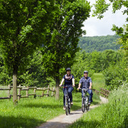 _DSC0773.jpg Zwei Personen fahren mit Fahrrädern auf einem grünen Waldweg, umgeben von Bäumen und Wiese.