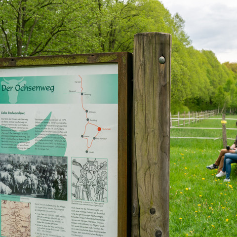 Infotafel Ochsenweg