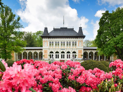 SSB-Königliches Kurhaus Bad Elster mit Rhododendre