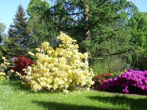 Ferienwohnung Kaulfuß - Garten