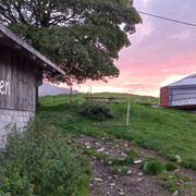 Tolle Abendstimmung auf der Alp Wittenlauenen