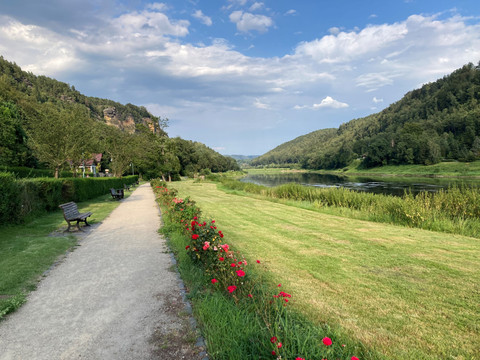 Blick vom Wehlener Park Richtung Rathen Ein Weg mit Bänken führt entlang eines Flusses, gesäumt von roten Blumen; umgeben von grünen Hügeln unter einem bewölkten Himmel.