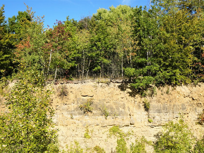 Erlebnissteinbruch Hainholz
