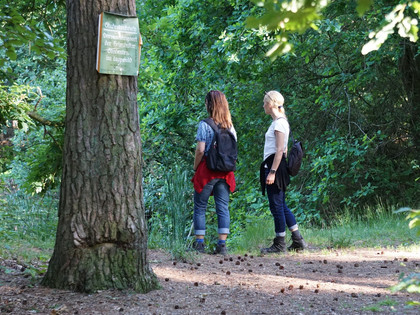 Am Studententeich