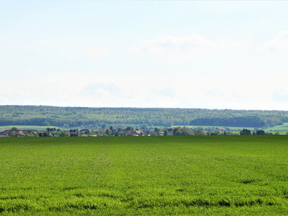Blick über Wolsdorf zum Elm