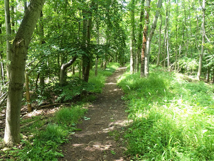 Kammweg