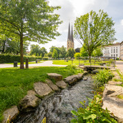 Park der Menschenrecht und Neustädter Marienkirche