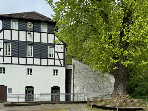 Papiermuseum Alte Dombach Fachwerkhaus mit weißer Fassade neben einem großen, alten Baum mit frischem grünen Laub.