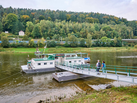 Fähre Elbkai Bad Schandau - Krippen Ein Paar geht über eine grüne Brücke zu einer Fähre auf einem Fluss, umgeben von einem bewaldeten Ufer und einem vorbeifahrenden Zug im Hintergrund.