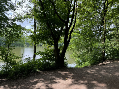 Saaler Mühle Ein ruhiger, von Bäumen gesäumter See bei sonnigem Wetter, mit schattigem Uferweg im Vordergrund.