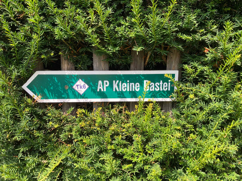 Rozcestník "Kleine_Bastei" Grünes Schild mit der Aufschrift "AP Kleine Bastei" vor einem Hintergrund aus dichten, grünen Sträuchern.